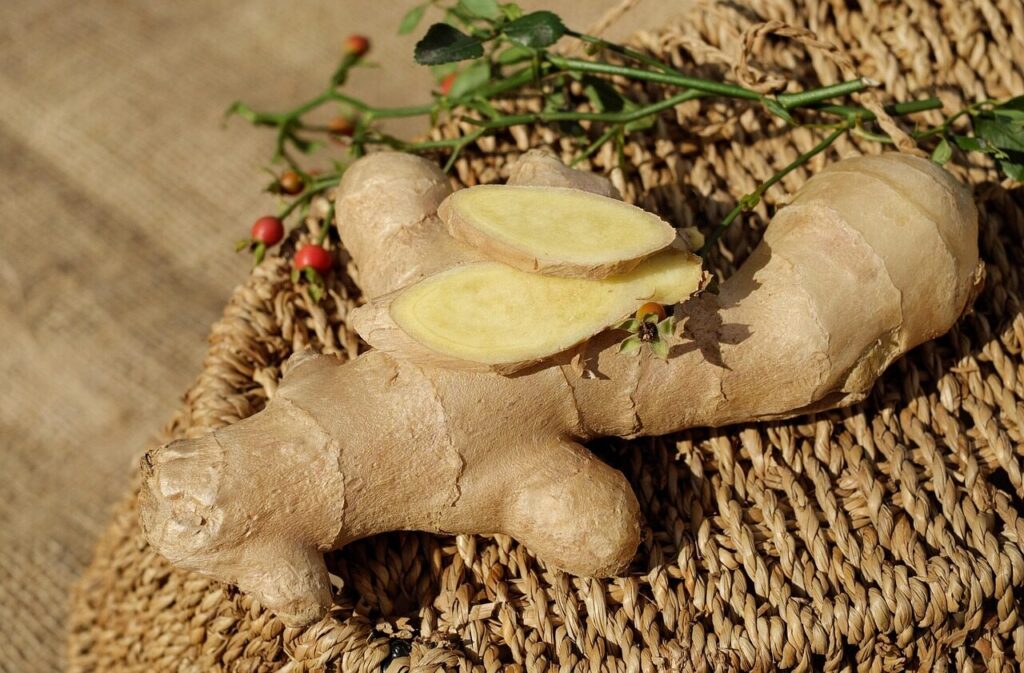 ginger, ingber, immerwurzel, root, sharp, seasoning, food, medicinal plant, healthy, ginger, ginger, ginger, ginger, ginger