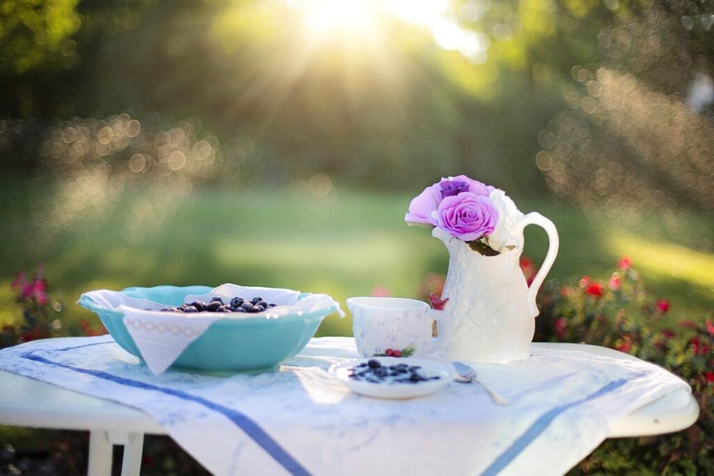 blueberry, breakfast, sunlight, food, dessert, snack, fruit, berry, meal, delicious, healthy, diet, tasty, sweet, outdoors, table, bokeh, breakfast, breakfast, breakfast, breakfast, breakfast, food, diet, table, table, table, table
