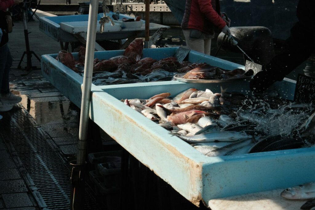 A man standing next to a table filled with fish